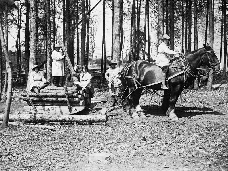 Members of the Women’s Forestry Corps in Sussex